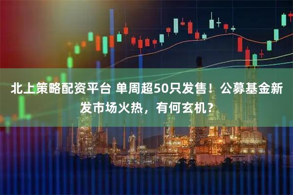 北上策略配资平台 单周超50只发售！公募基金新发市场火热，有何玄机？