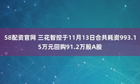 58配资官网 三花智控于11月13日合共耗资993.15万元回购91.2万股A股