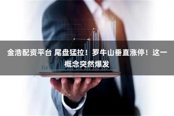 金浩配资平台 尾盘猛拉！罗牛山垂直涨停！这一概念突然爆发