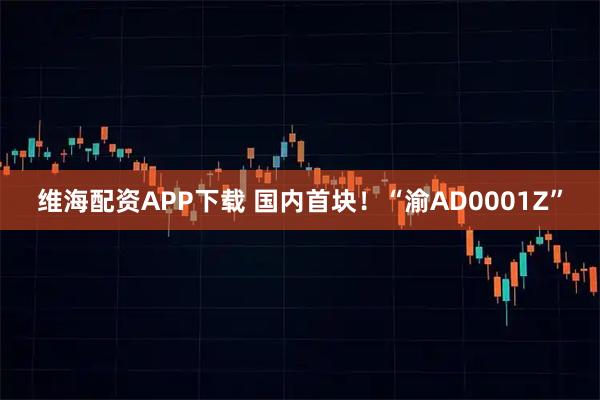 维海配资APP下载 国内首块！“渝AD0001Z”