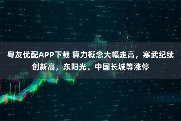 粤友优配APP下载 算力概念大幅走高，寒武纪续创新高，东阳光、中国长城等涨停