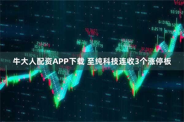 牛大人配资APP下载 至纯科技连收3个涨停板